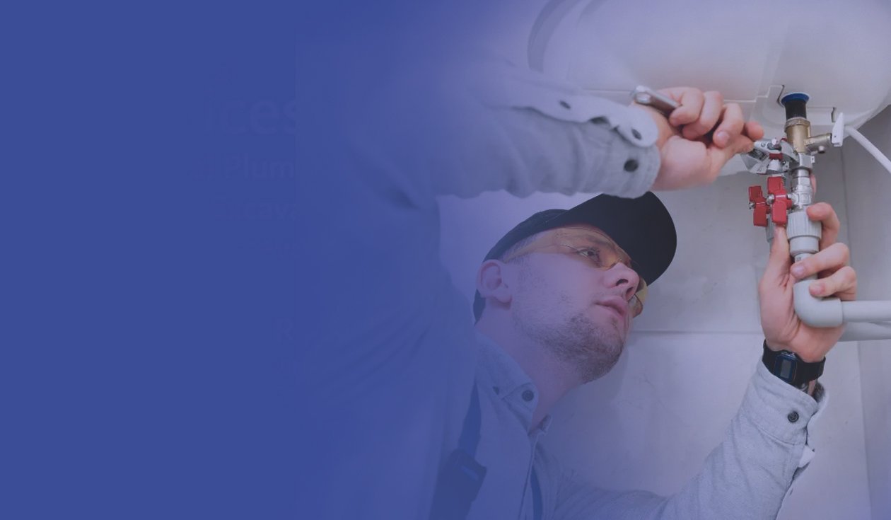 Professional Services Background